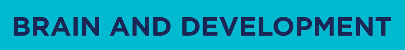 Brain and Development