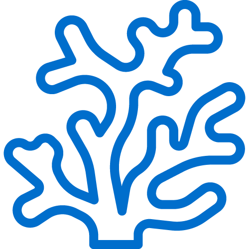 coral icon