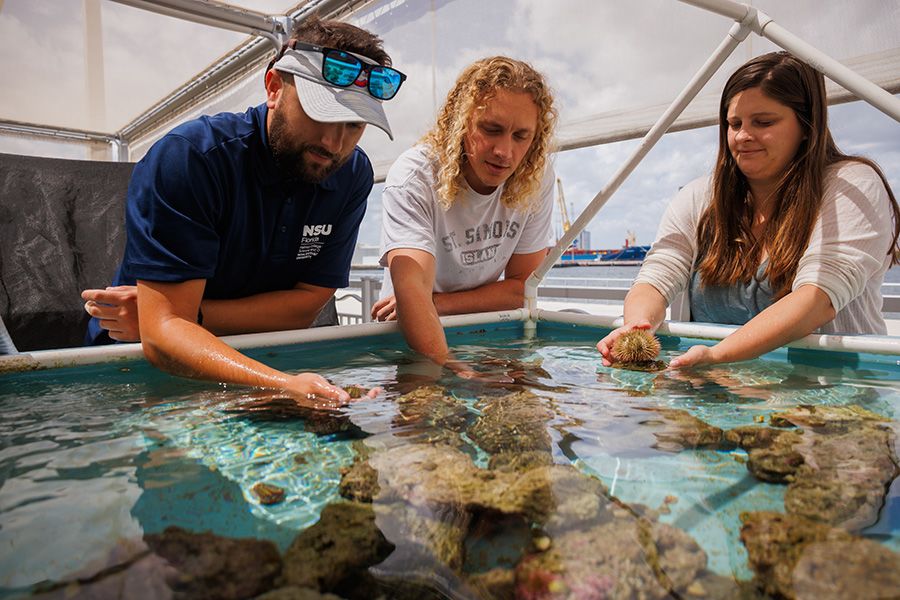 image of coral reef research