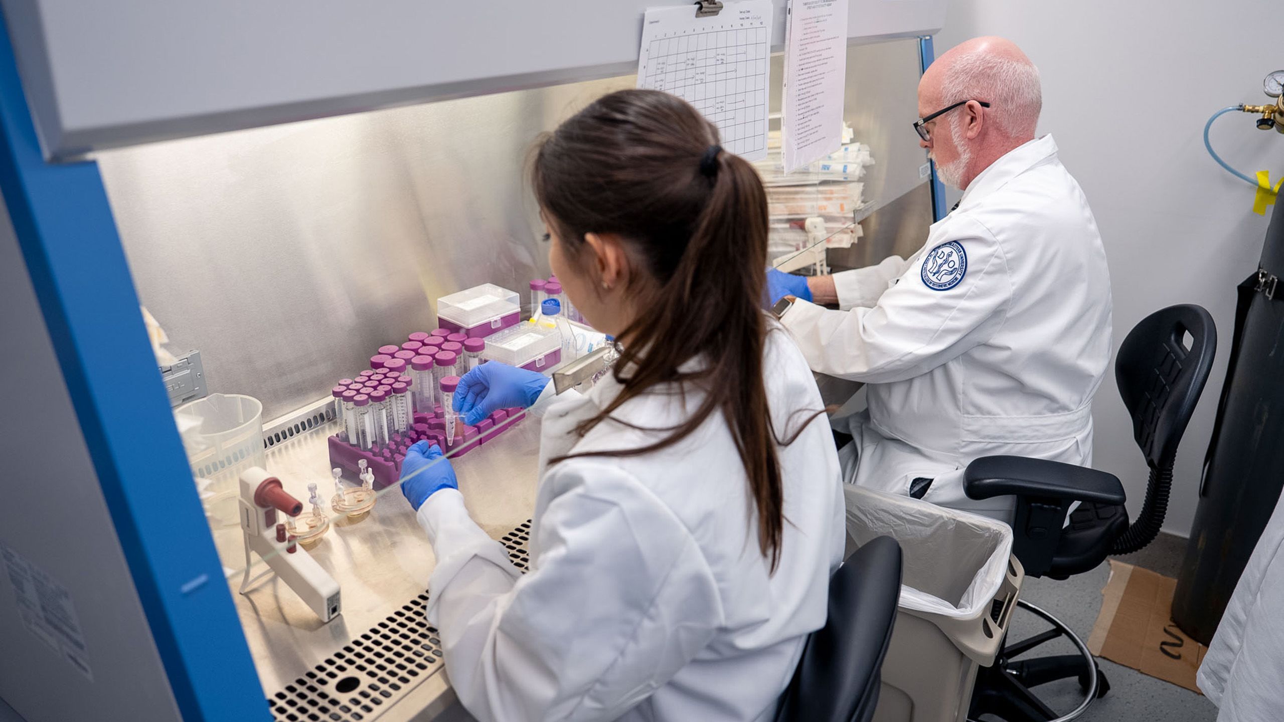 researchers in lab looking at test tubes
