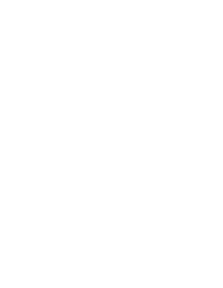 NSU R1 top-tier research university logo