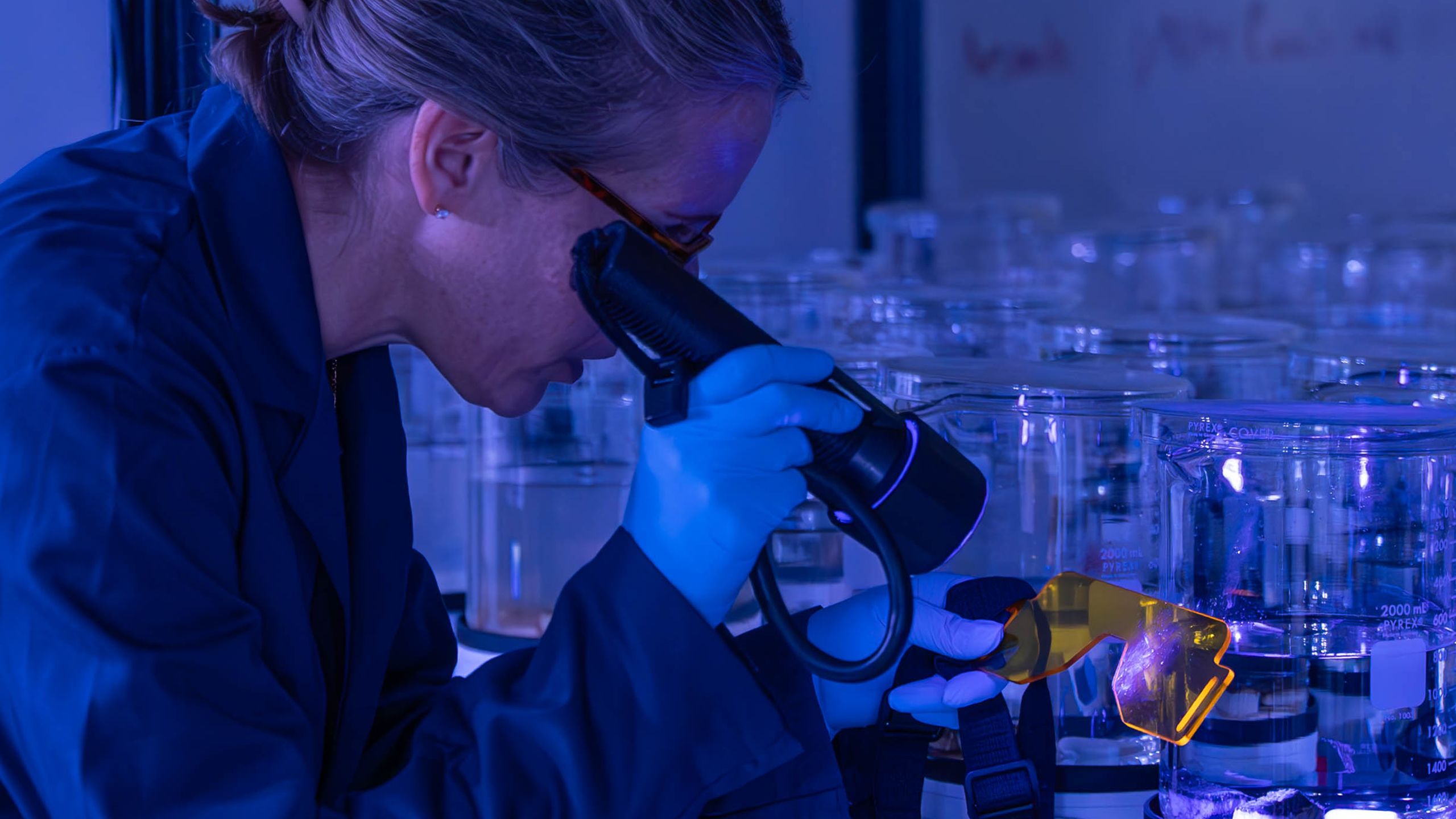woman in lab shining light on yellow lenses