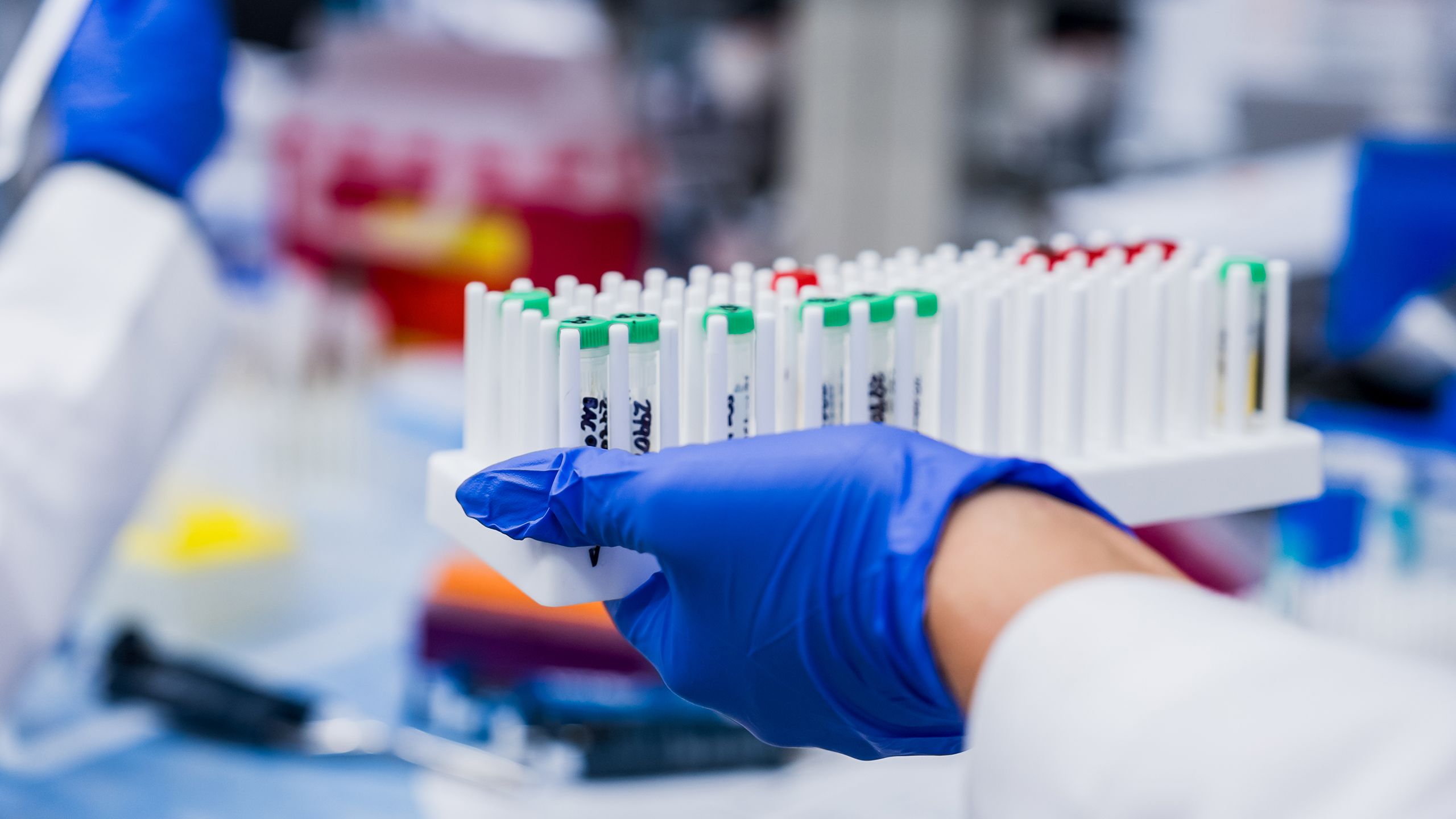 gloved hand holding tray of test tubes